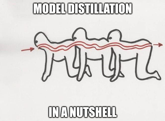 Model Distillation meme